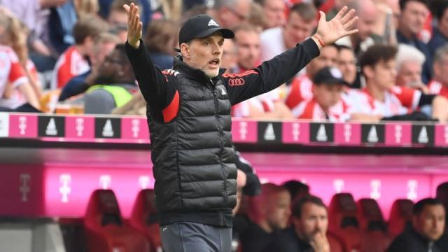 1684661922996009725.jpeg 1684661922996009725.jpeg